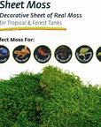 Galapagos - Terrarium Moss - Sheet Moss 150in³