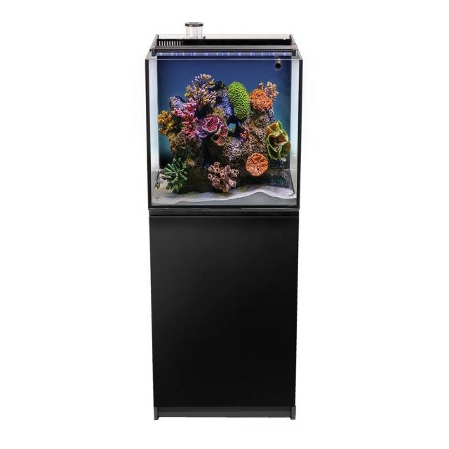 The AQUATOP - Recife ECO 40 Gallon Tank & Stand Combo (Black) showcases colorful corals and marine life against a white backdrop, supported by a sleek black stand. With multi-stage filter boxes, it maintains clear water and healthy habitats for its inhabitants.