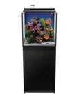 The AQUATOP - Recife ECO 40 Gallon Tank & Stand Combo (Black) showcases colorful corals and marine life against a white backdrop, supported by a sleek black stand. With multi-stage filter boxes, it maintains clear water and healthy habitats for its inhabitants.