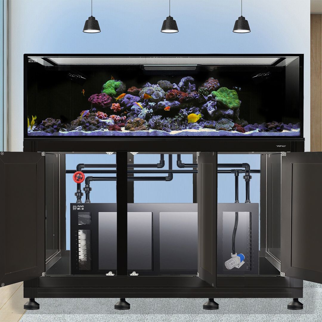 The Innovative Marine -INT 200 Gallon Complete Reef System showcases a large saltwater reef with colorful corals and fish on a black stand featuring open cabinet doors revealing the filtration system below. Three overhead lights elegantly illuminate the aquarium.