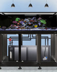 The Innovative Marine -INT 200 Gallon Complete Reef System showcases a large saltwater reef with colorful corals and fish on a black stand featuring open cabinet doors revealing the filtration system below. Three overhead lights elegantly illuminate the aquarium.