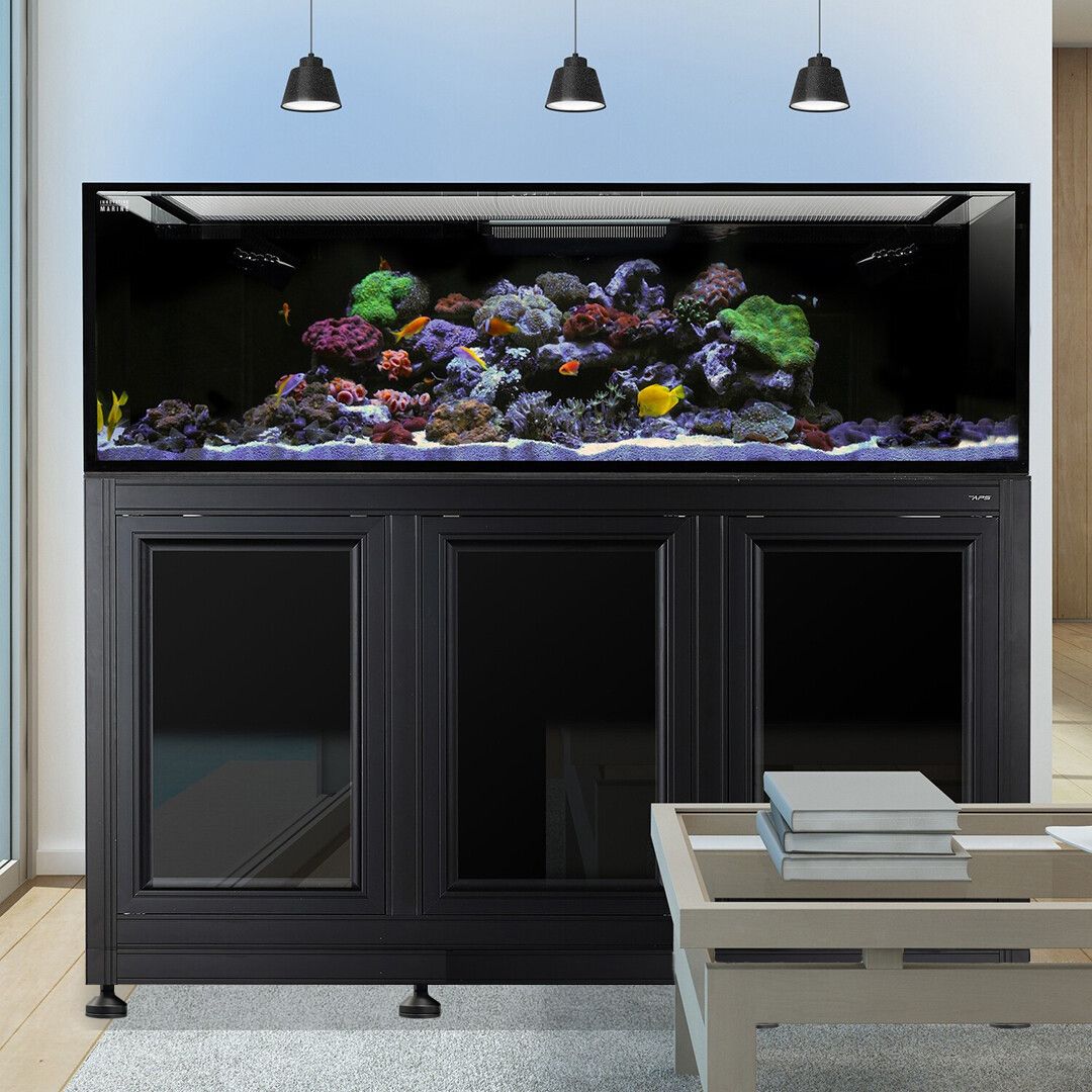 The Innovative Marine - INT 200 Gallon Complete Reef System is an impressive saltwater display mounted on a sleek black cabinet, featuring vibrant coral and diverse fish. Three black pendant lights hang above, while a light-colored table with stacked books sits to the side.