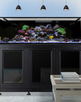 The Innovative Marine - INT 200 Gallon Complete Reef System is an impressive saltwater display mounted on a sleek black cabinet, featuring vibrant coral and diverse fish. Three black pendant lights hang above, while a light-colored table with stacked books sits to the side.