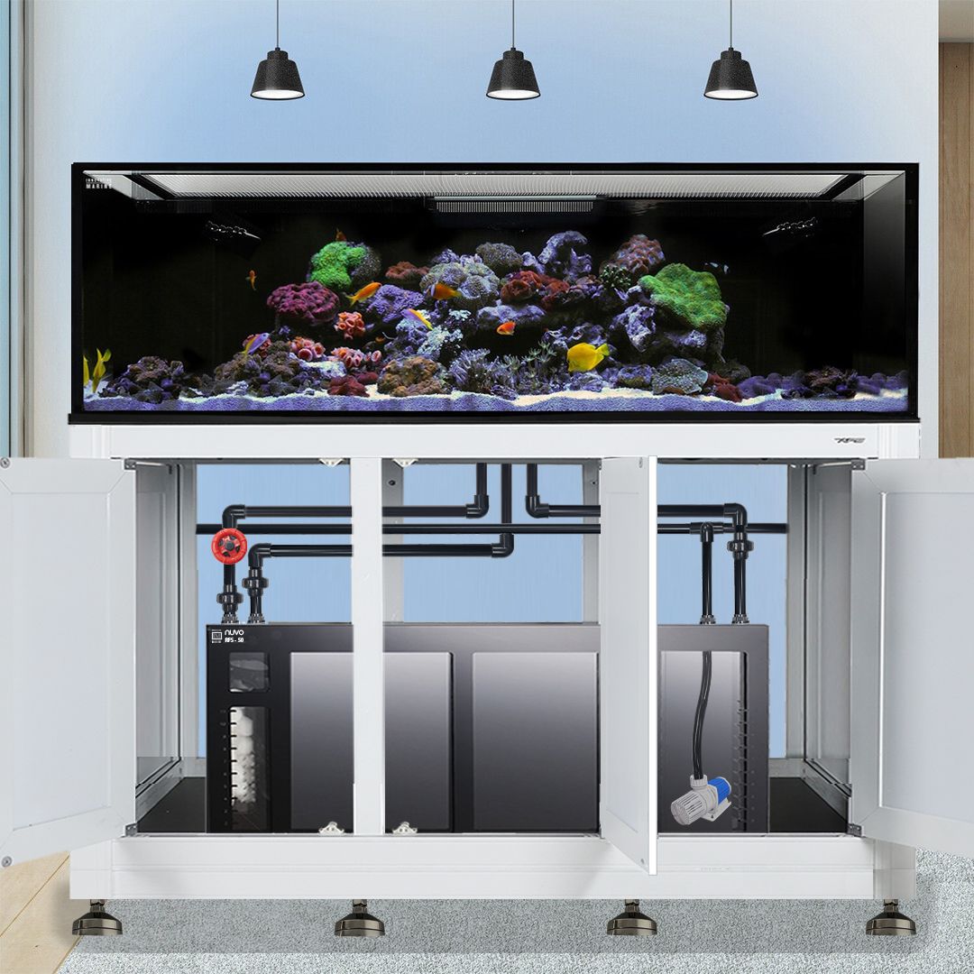 The Innovative Marine -INT 200 Gallon Complete Reef System displays colorful saltwater reef life on a large aquarium with an open-door marine stand, revealing the filtration system and pipes below, while three pendant lights illuminate the setup.