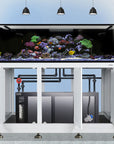 The Innovative Marine -INT 200 Gallon Complete Reef System displays colorful saltwater reef life on a large aquarium with an open-door marine stand, revealing the filtration system and pipes below, while three pendant lights illuminate the setup.