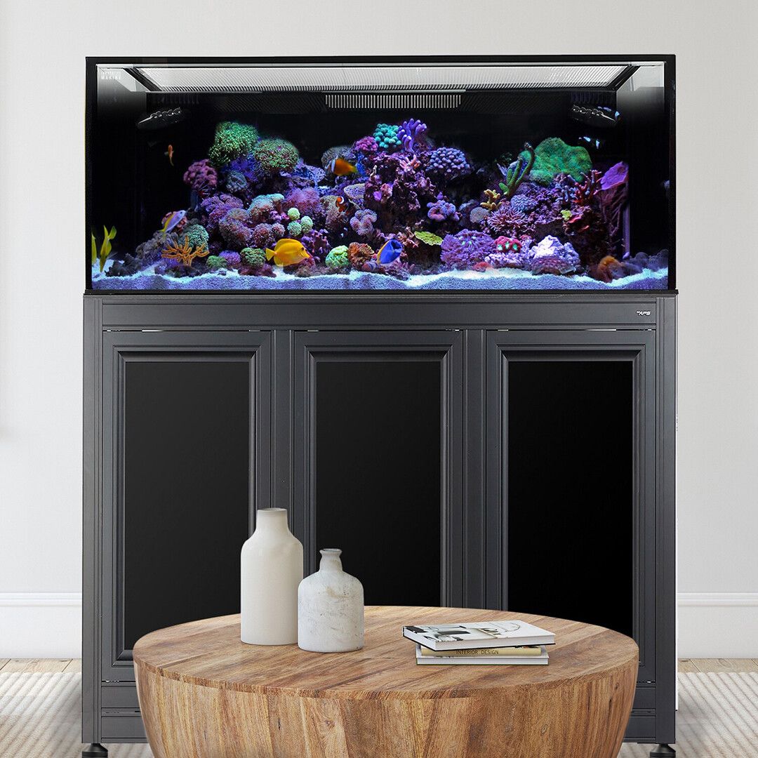 A large, colorful aquarium with the Innovative Marine - EXT 170 and its custom APS Stand sits on a dark cabinet. In front, a round wooden table holds two cream-colored vases. The modern setting is well-lit.