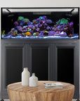 A large, colorful aquarium with the Innovative Marine - EXT 170 and its custom APS Stand sits on a dark cabinet. In front, a round wooden table holds two cream-colored vases. The modern setting is well-lit.