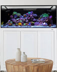 An Innovative Marine EXT 170 Aquarium w/ APS Stand (Made to Order) filled with corals and fish adorns a sleek white stand. In front, a wooden table holds two decorative vases and a closed book, all set against the rooms neutral-toned carpet and walls, enhancing this aquatic masterpiece.