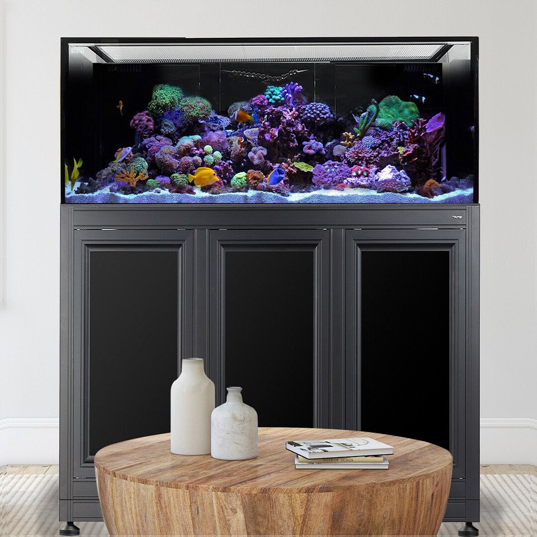 The Innovative Marine INT 170 Gallon Complete Reef System in Black showcases colorful coral and marine life atop a modern dark cabinet with an acrylic sump, while two ceramic vases and magazines rest on a wooden coffee table in a well-lit room with light-colored walls.