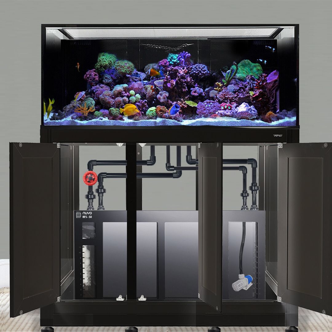 An Innovative Marine INT 170-gallon Complete Reef System in black features colorful coral and fish atop a cabinet. Below, open doors reveal pipes and an acrylic sump crucial for maintaining its vibrant underwater ecosystem.