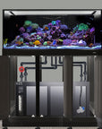 An Innovative Marine INT 170-gallon Complete Reef System in black features colorful coral and fish atop a cabinet. Below, open doors reveal pipes and an acrylic sump crucial for maintaining its vibrant underwater ecosystem.