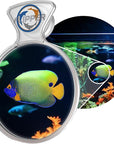 DeepSee Viewer Clear Max 5"
