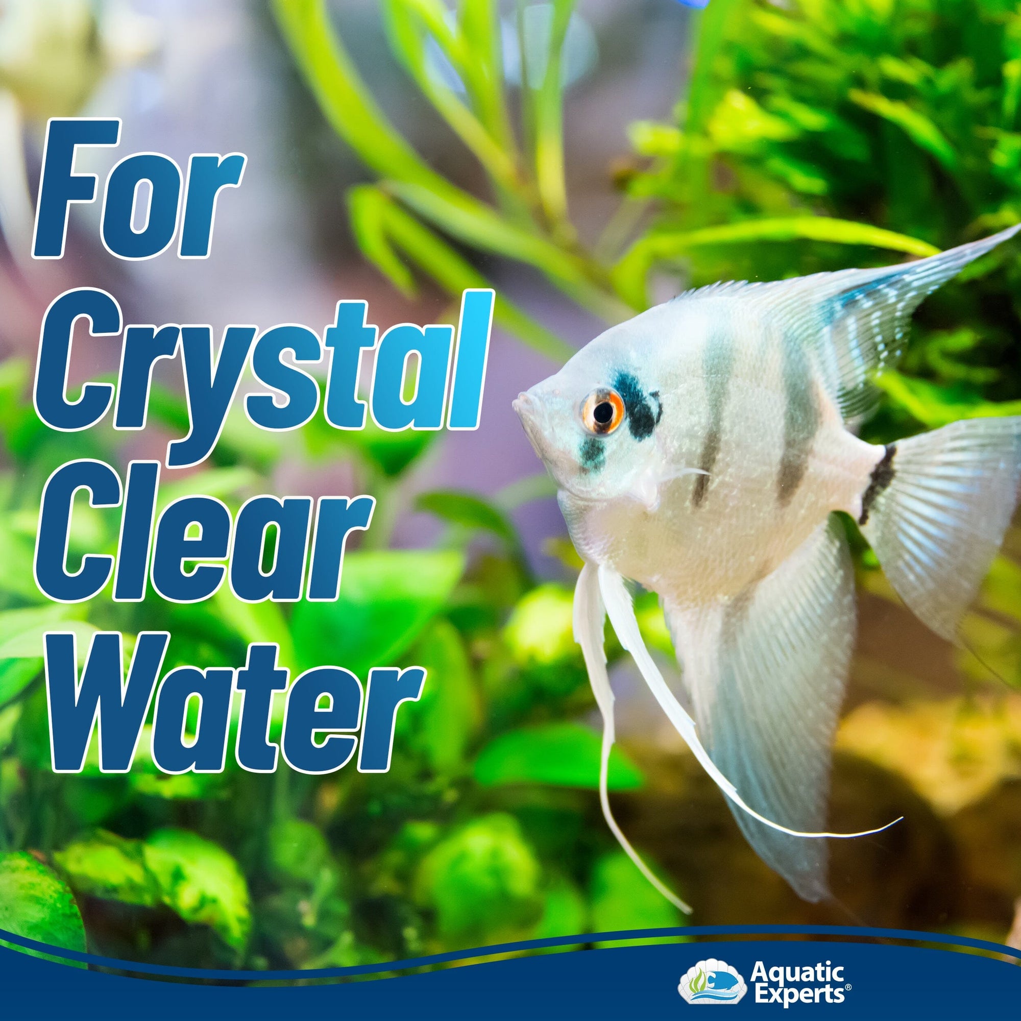 Aquarium Bundle - ClassicBlue + FilterFirst + Polishing Pad Complete Kit
