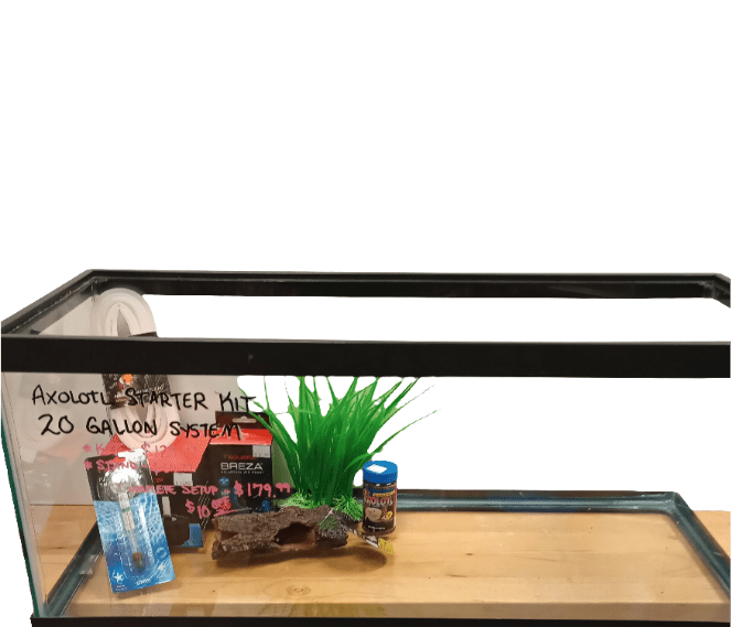 The AO - Basic Axolotl Kit - 'Aqueon' 20 Gal includes a water conditioner bottle, a can of food, a green plastic plant, and a decorative log, all designed to sit on a wooden surface.