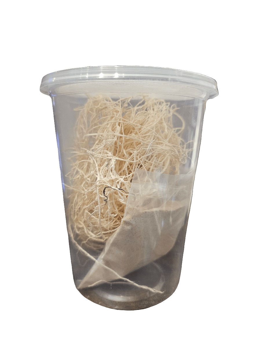 The AO - On The Fly - Fruit Fly Culture Kit (No Flies Included) features a clear plastic cup containing a small bundle of dry, straw-like material and a partially visible teabag filled with a light-colored substance.