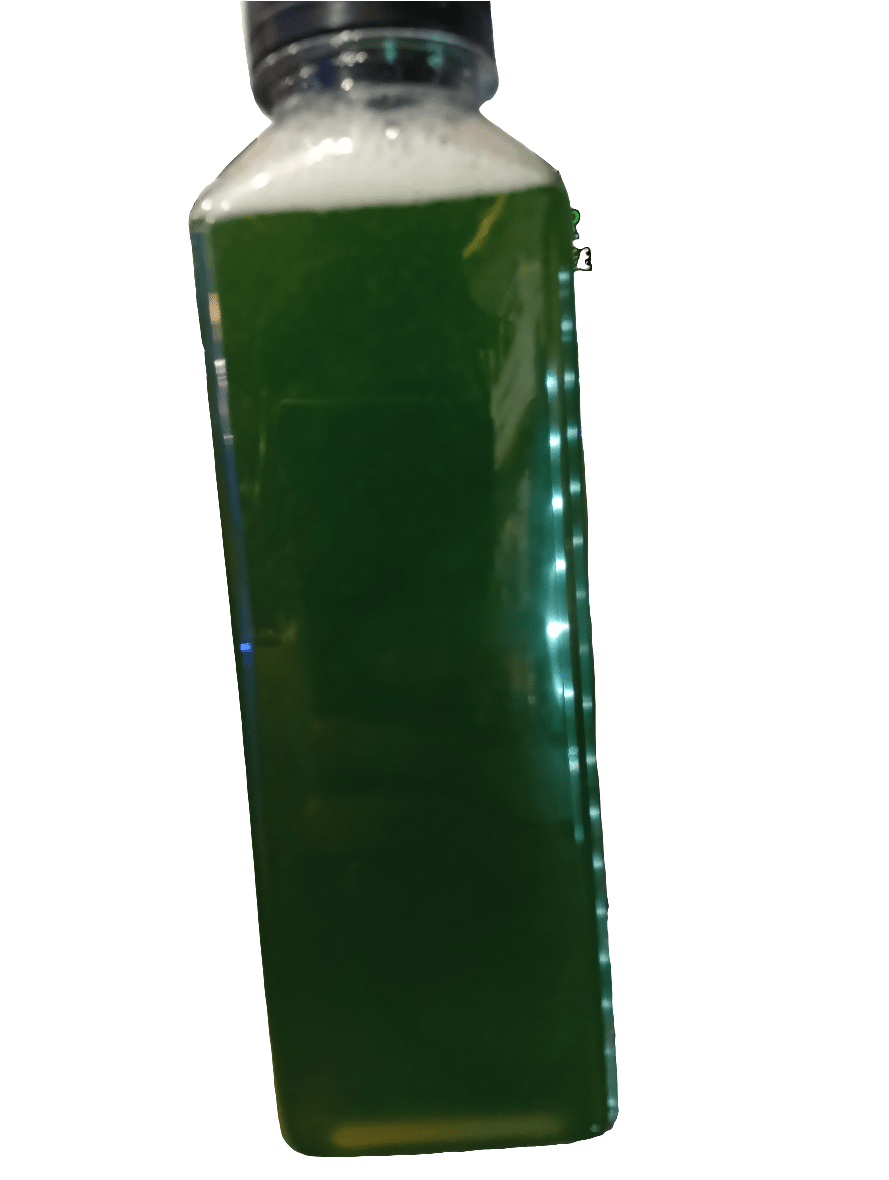 A clear bottle labeled "AO Phytoplankton 16oz," filled with a dark green liquid and topped with a black lid, is positioned upright against a plain background.