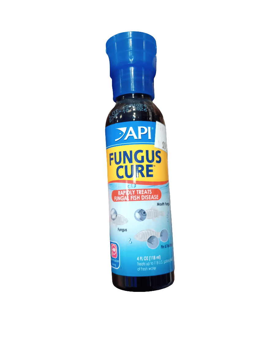 A 4 oz bottle of API Fungus Cure fish treatment with a blue cap, featuring a label that emphasizes its ability to quickly treat fungal diseases in fish.