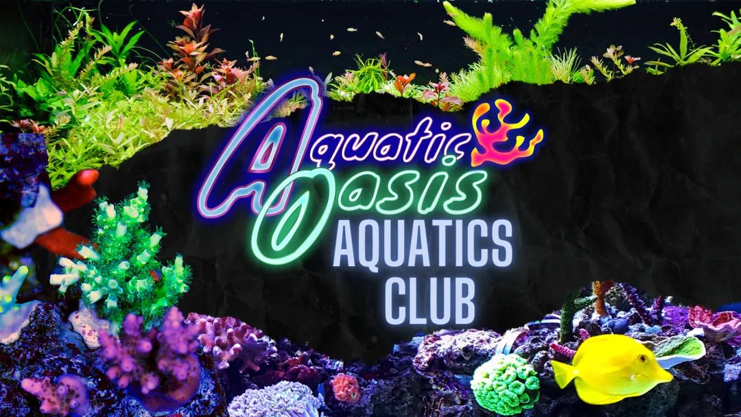 A vibrant underwater scene with colorful coral, plants, and a yellow fish. Overlaid neon text reads Annual AO Membership.