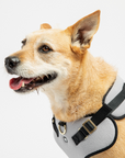 Aquafleece Dog Harness - Grey