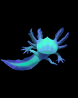 An Axolotl - GFP Gold Flake Albino displays vibrant blue and green hues against a black background, showcasing frilled gills and a long, wavy tail—truly a unique axolotl morph.