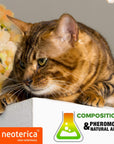 Beloved Pets Calming Pheromone Spray & Scratch Repellent for Cats