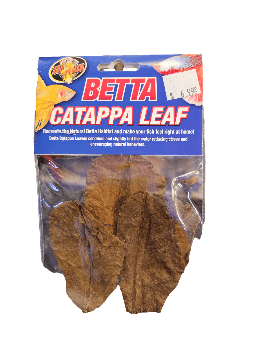 The Betta Catappa Leaf Zoo Med packaging showcases a blue and red design featuring an illustration of a yellow fish. Inside, you'll find dried brown leaves ideal for creating fish habitats. The price is $6.99.