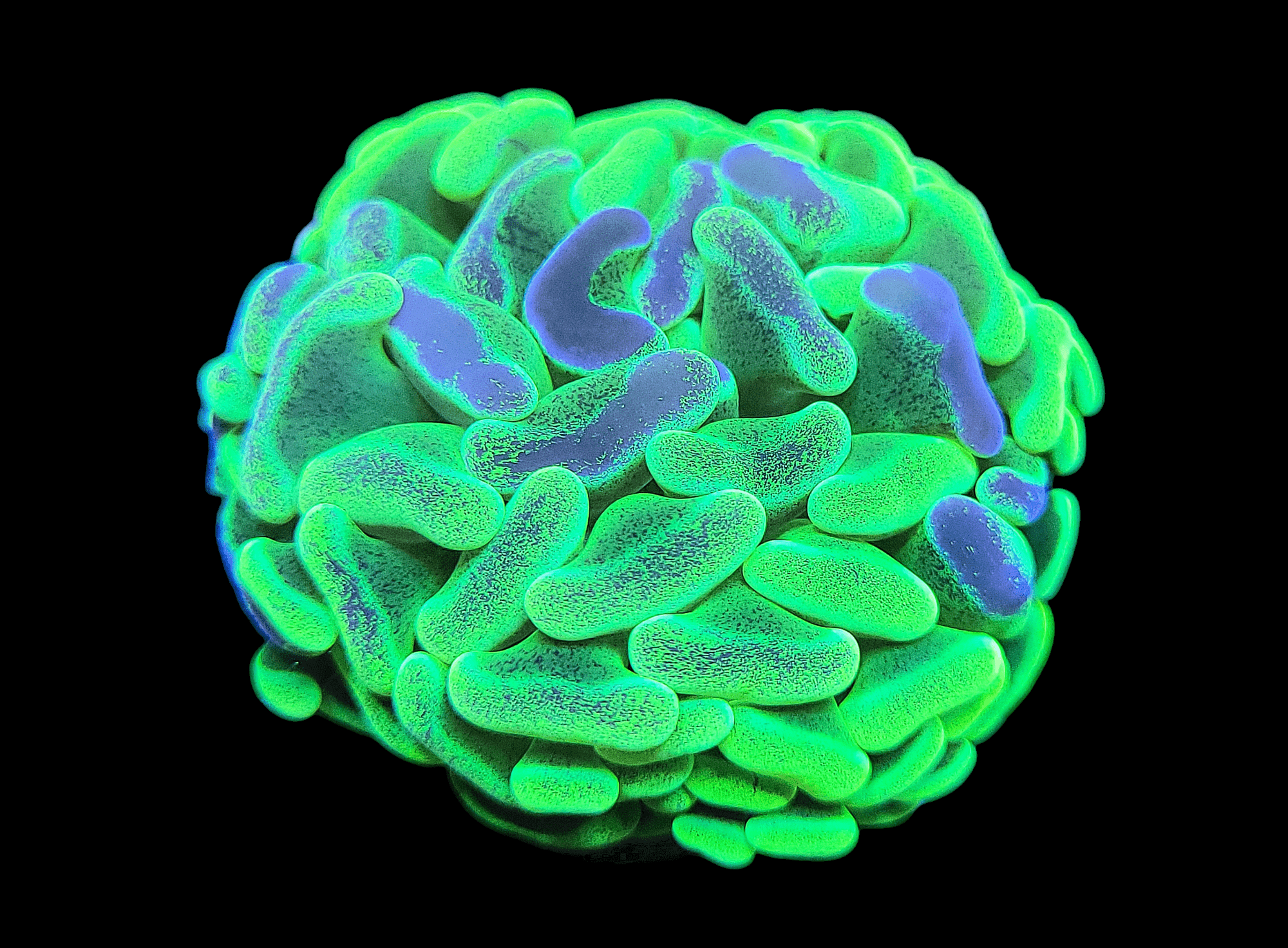 A close-up of the BioHazard Hammer reveals a glowing green and blue coral design against a black background. Its wavy, layered texture forms an intricate and vivid pattern that stands out due to the contrasting neon colors.