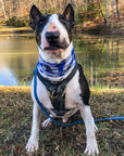 Bone Camo Blue Pup Scruff