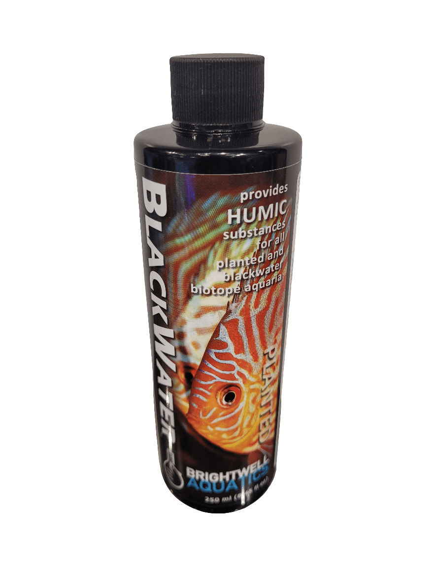 A bottle of Brightwell - Blackwater - 250ml liquid supplement for aquariums, featuring a label with an image of a brightly colored fish and text highlighting its benefits for planted and blackwater biotope aquaria.