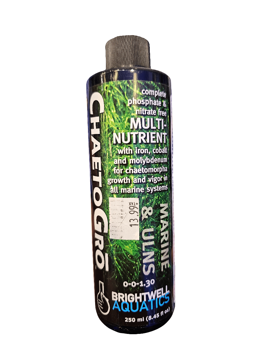 The Brightwell - ChaetoGro - 250ml is a nutrient solution that is phosphate and nitrate free, enriched with iron, cobalt, and molybdenum to support marine growth. It comes in a 250 ml bottle and is priced at $13.99.