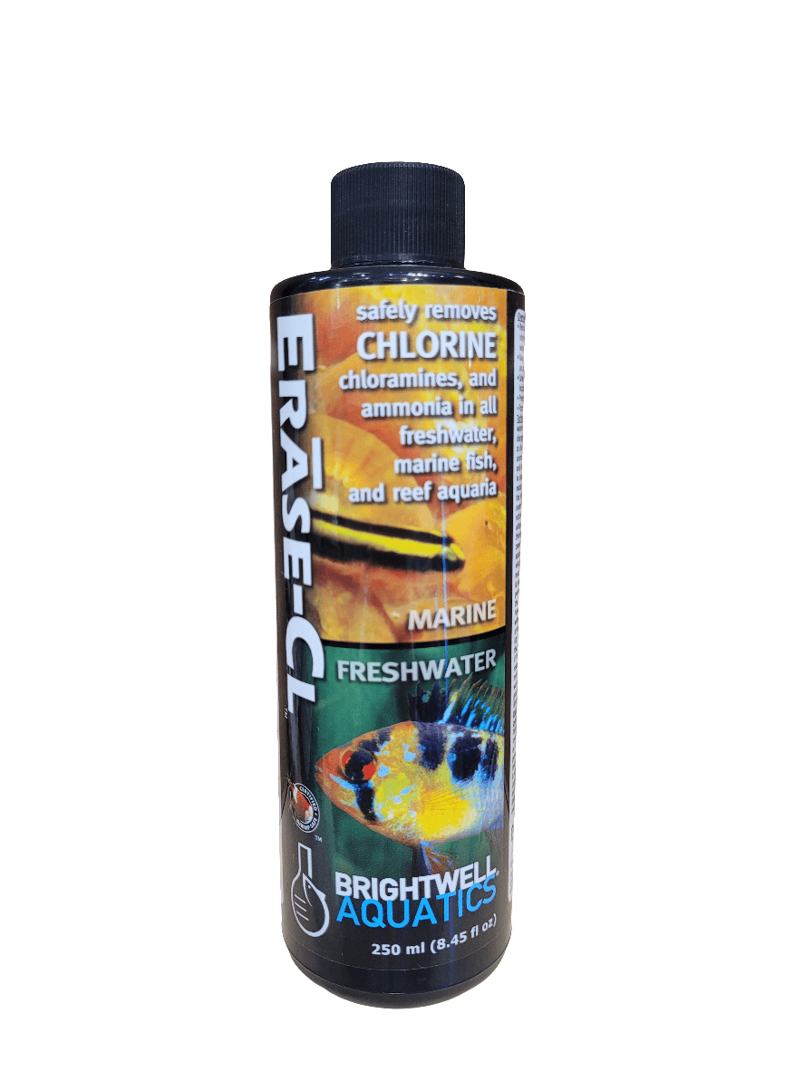 A 250 ml (8.45 fl oz) bottle of Brightwell - Erase-Cl water conditioner, designed to remove chlorine, chloramines, and ammonia from freshwater and marine aquariums, featuring fish images on the label.