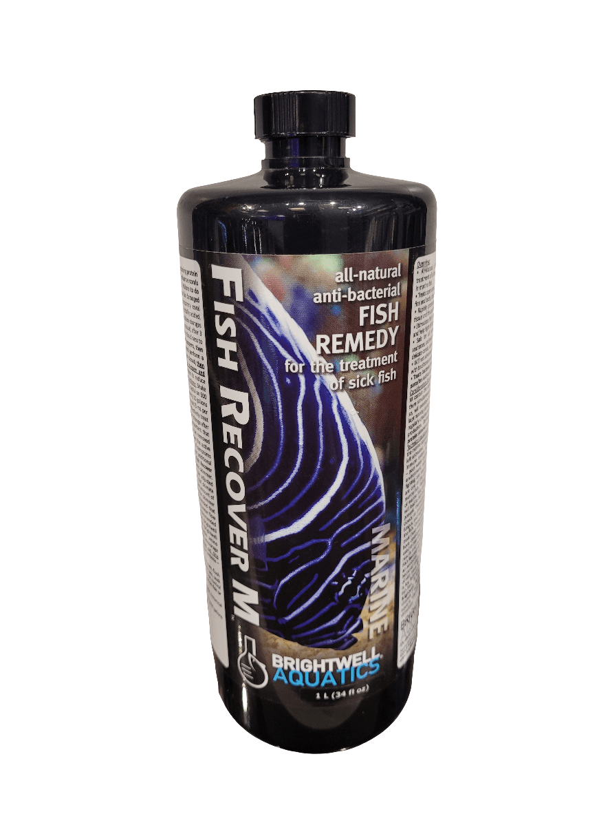 A tall, black bottle labeled Brightwell - Fish Recover M - 1L by Brightwell Aquatics. It is an all-natural anti-bacterial remedy designed for treating sick fish, featuring a label with an image of a blue and white striped fish.