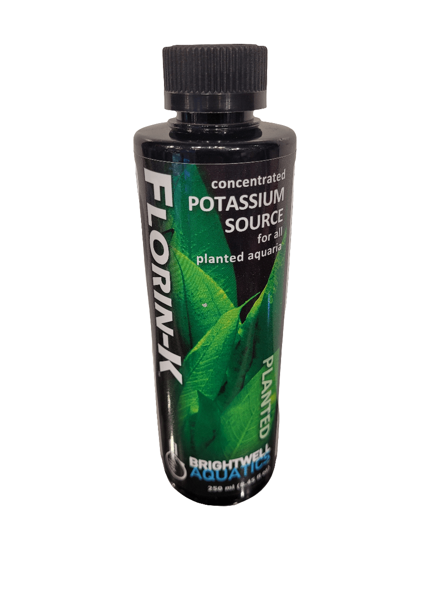 A 250 mL bottle of Brightwell - Florin-K, a concentrated potassium source designed to enhance plant growth in aquariums, featuring a label with green leaves and text highlighting its application for planted aquaria.