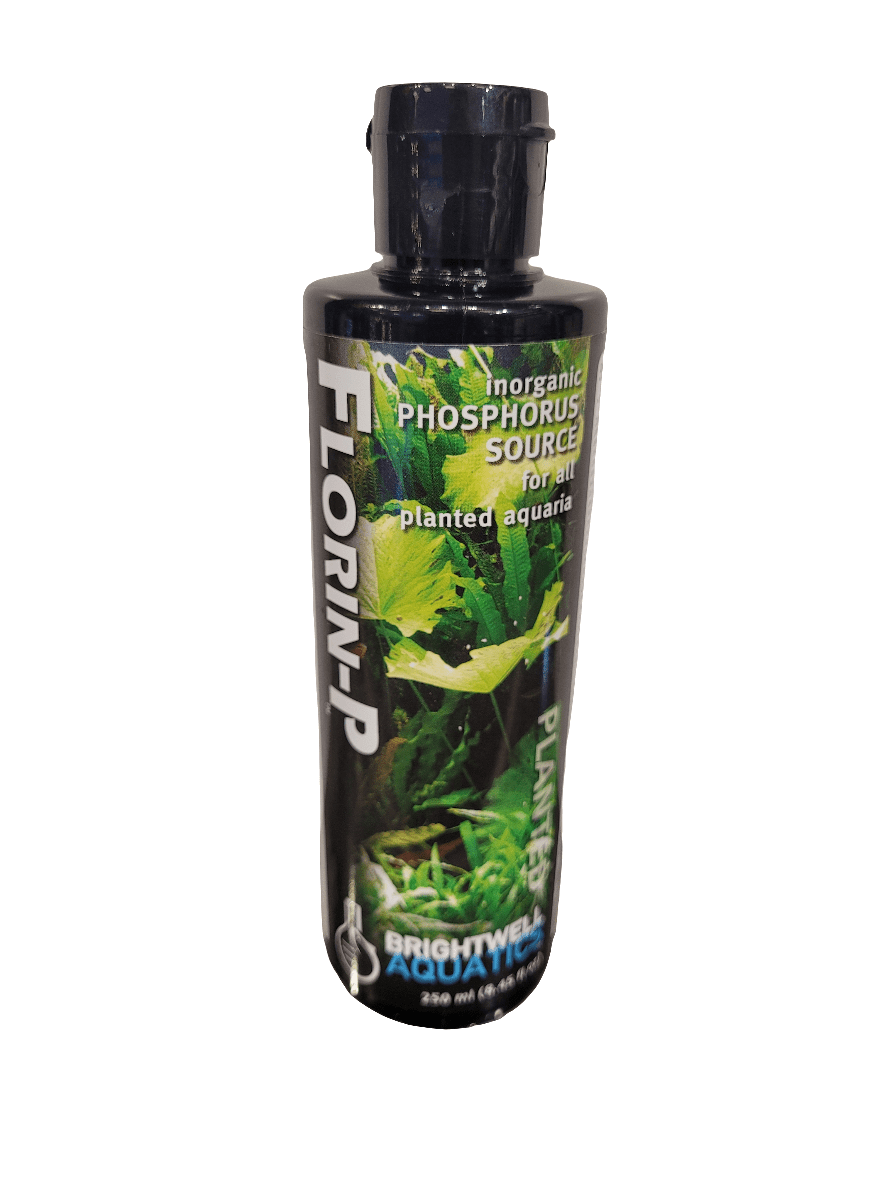 A black bottle labeled Brightwell - Florin-P - 250ml stands upright, featuring a label adorned with green aquatic plants and promoting it as an inorganic phosphorus source for planted aquaria, with the Brightwell Aquatics brand prominently displayed at the bottom.