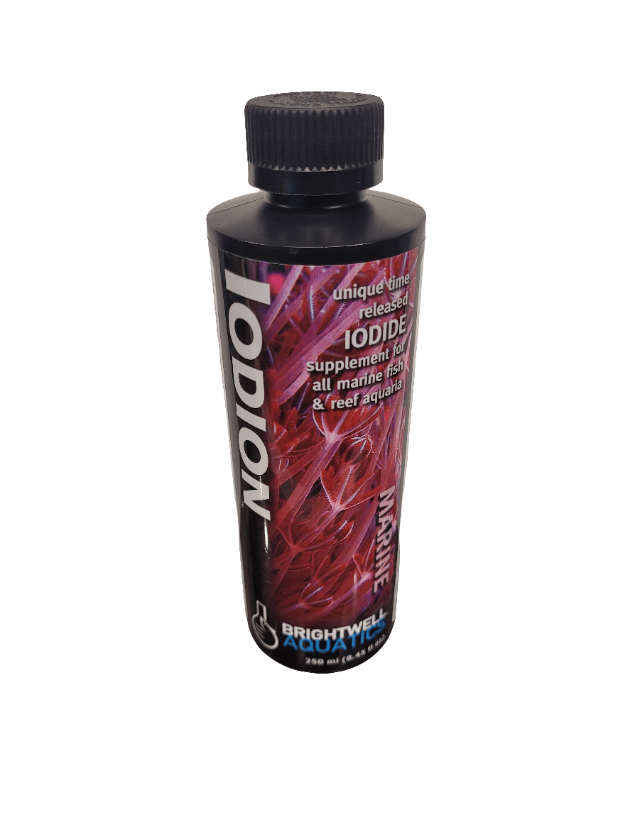 A 250 ml bottle of Brightwell - Iodion, characterized by a black cap and label adorned with red, seaweed-like designs. It is described as a time-released iodide supplement suitable for marine fish and reef aquaria.