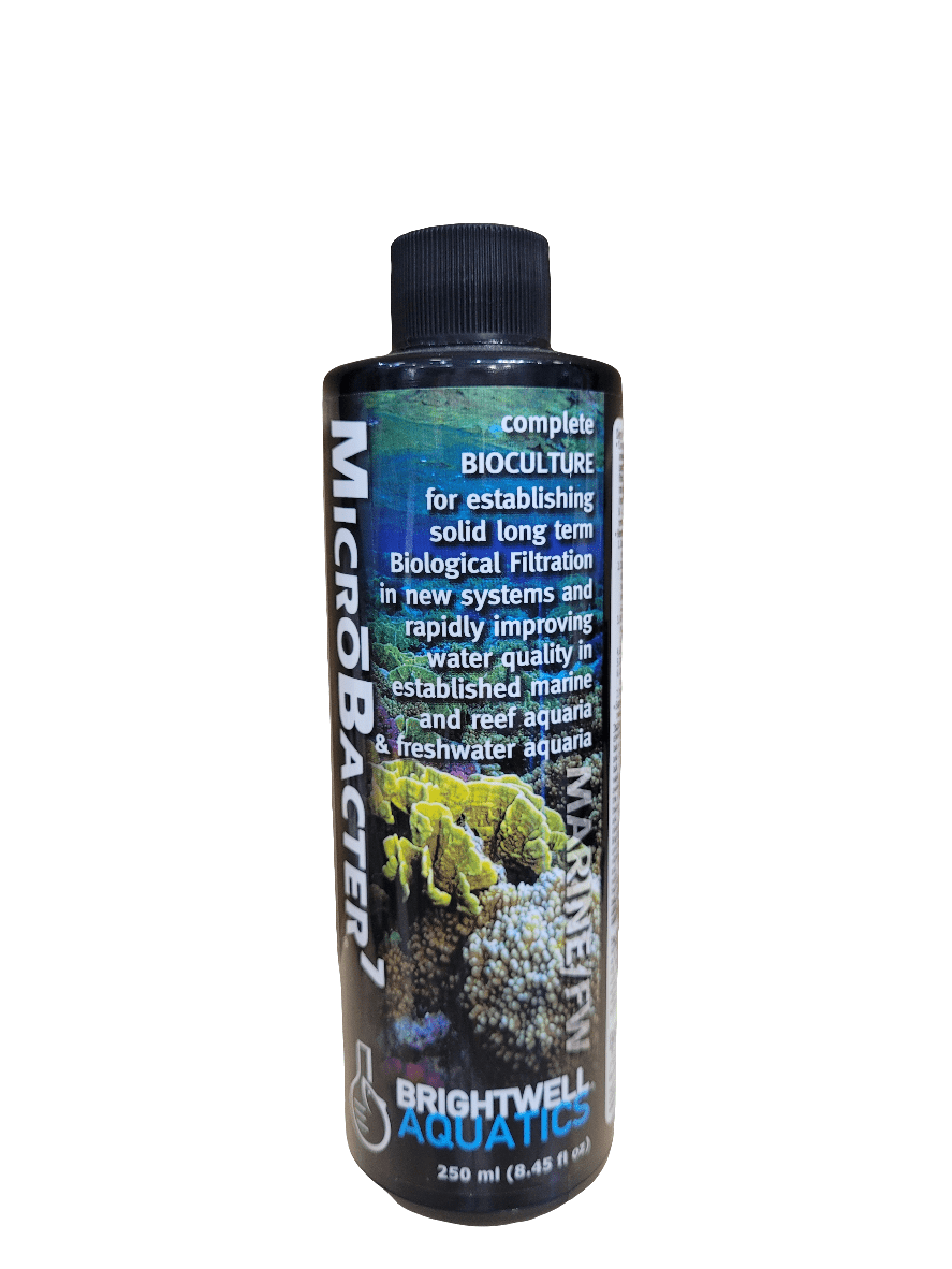 A 500 ml bottle of Brightwell MicroBacter7, designed for biological filtration in aquaria. The label features images of corals and text detailing its use for improving water quality in both marine and freshwater systems.