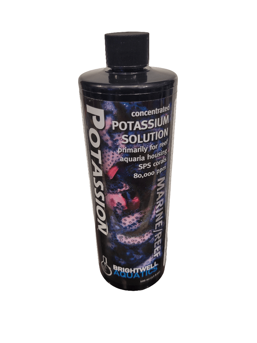 A 500ml bottle of Brightwell Potassion, a concentrated potassium solution with 80,000 ppm designed for marine reefs and coral health. The bottle is black and features coral imagery on its label.