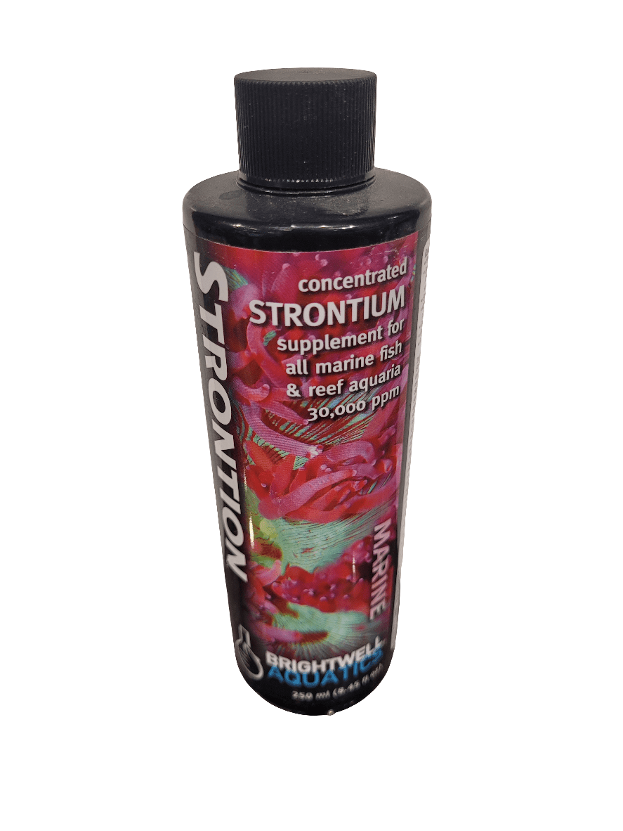 Image of a black bottle labeled "Brightwell - Strontion - 250ml," a supplement for marine fish and reef aquaria, containing 30,000 ppm. The label showcases a colorful underwater scene with coral.