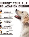 Calming Chews for Labrador Dogs with Valerian Root and Hemp Oil   Aid