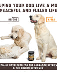 Calming Chews for Labrador Dogs with Valerian Root and Hemp Oil   Aid