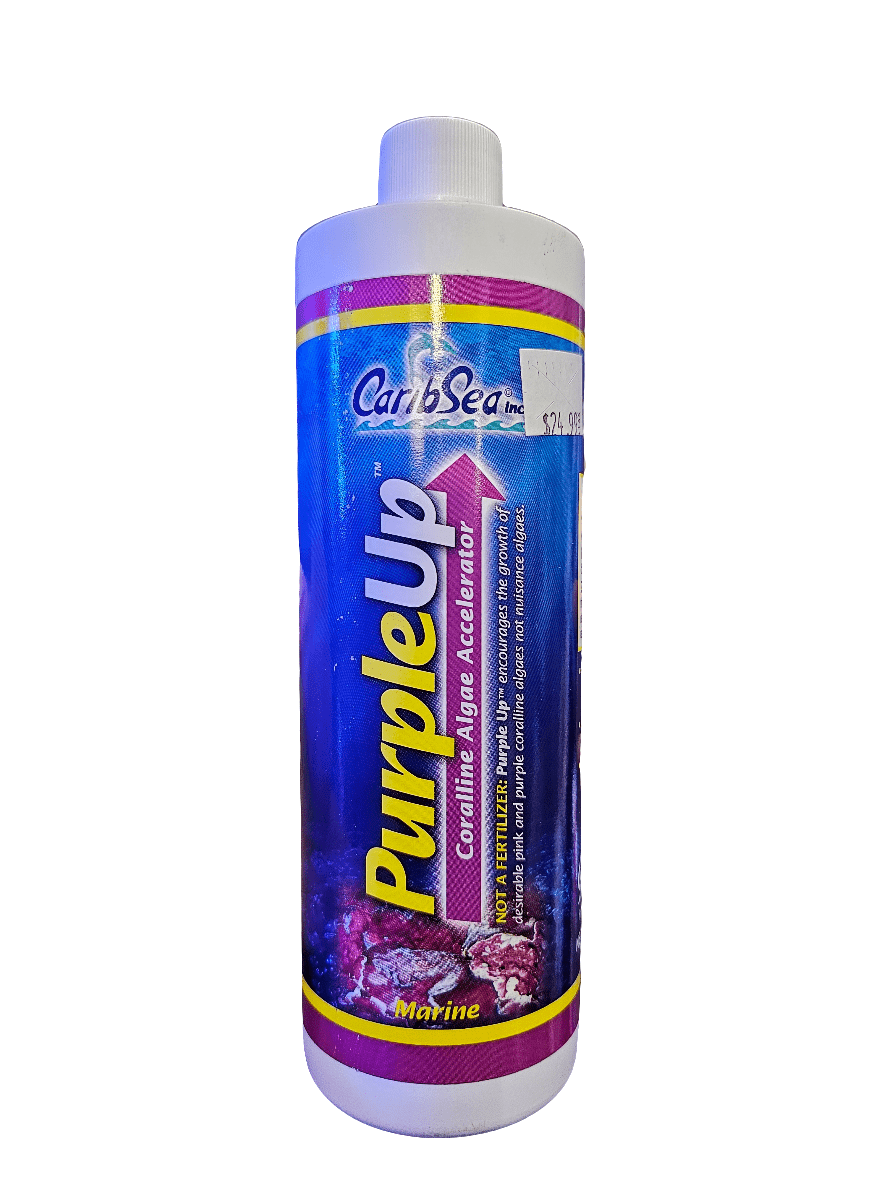 The CaribSea Purple Up Coralline Algae Accelerator 473ml bottle, priced at $22.49, comes with purple and blue design accents that emphasize its marine suitability for aquariums, making it ideal for cultivating vibrant pink Coralline algae.