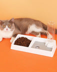 Cat Bowl Dog Water Feeder Bowl Cat Kitten Drinking Fountain Food Dish