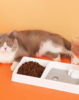 Cat Bowl Dog Water Feeder Bowl Cat Kitten Drinking Fountain Food Dish