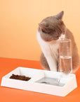 Cat Bowl Dog Water Feeder Bowl Cat Kitten Drinking Fountain Food Dish