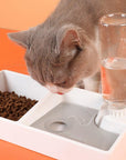 Cat Bowl Dog Water Feeder Bowl Cat Kitten Drinking Fountain Food Dish