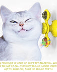 Cats Whirling LED Balls