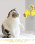 Cats Whirling LED Balls