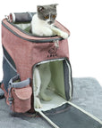 Cats and dogs Carrier Backpack