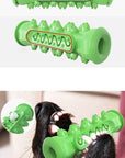 Chewing Toy for Dogs