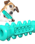 Chewing Toy for Dogs